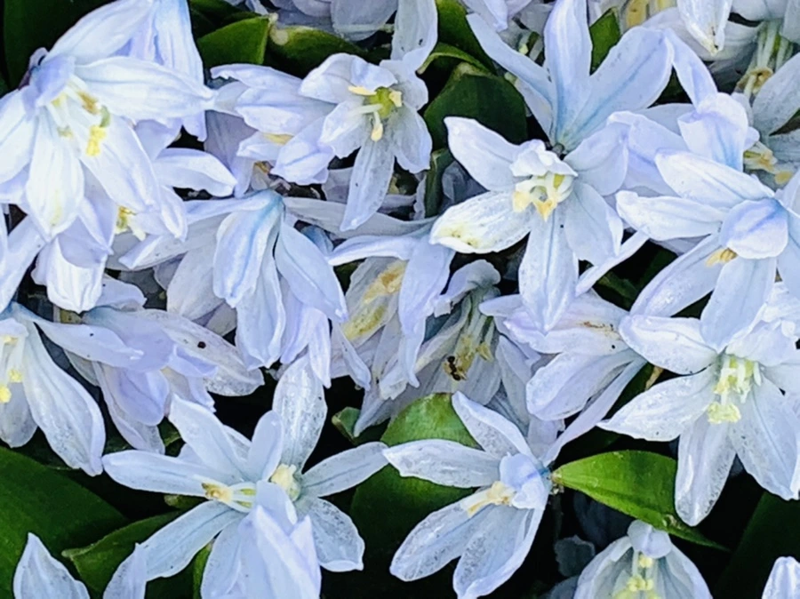 IMG_4141.jpg?type=w966