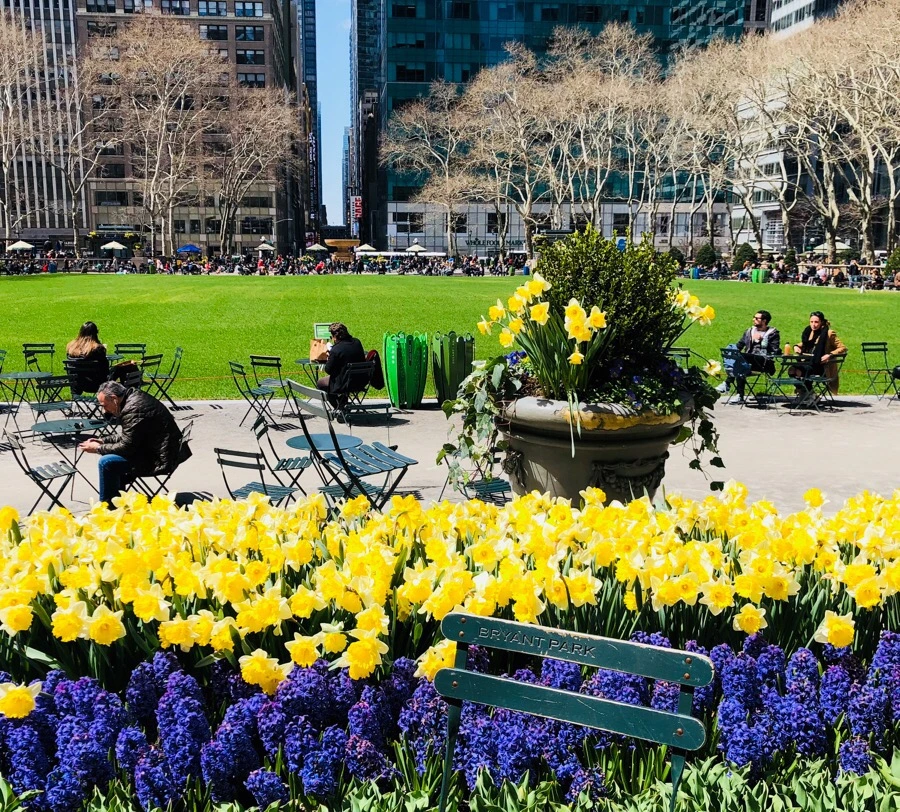 IMG_4584.jpg?type=w966