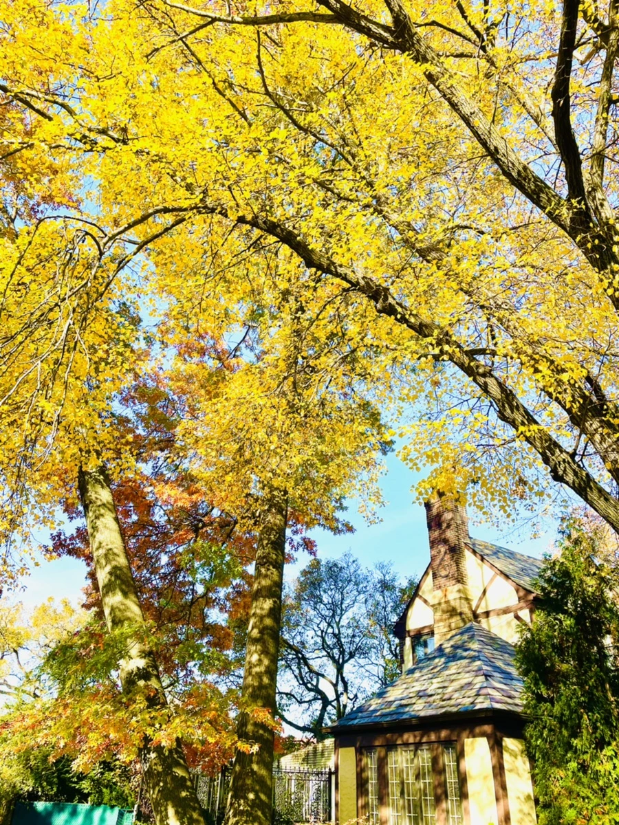 IMG_2202.jpg?type=w966