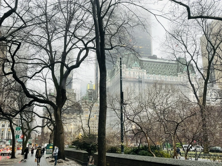 IMG_1669.jpg?type=w966