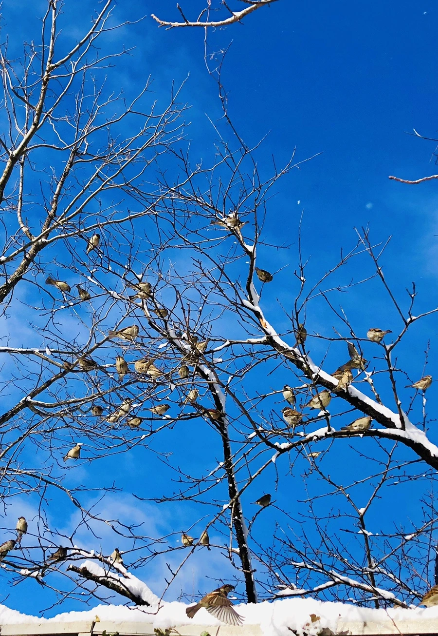 IMG_6971.jpg?type=w966