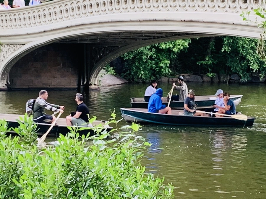 IMG_3431.jpg?type=w966