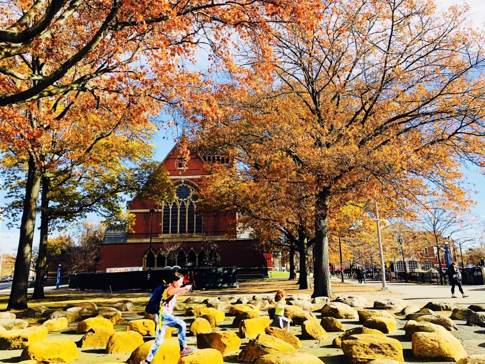 IMG_E1545.jpg?type=w966