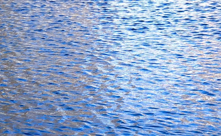 IMG_3792.jpg?type=w966