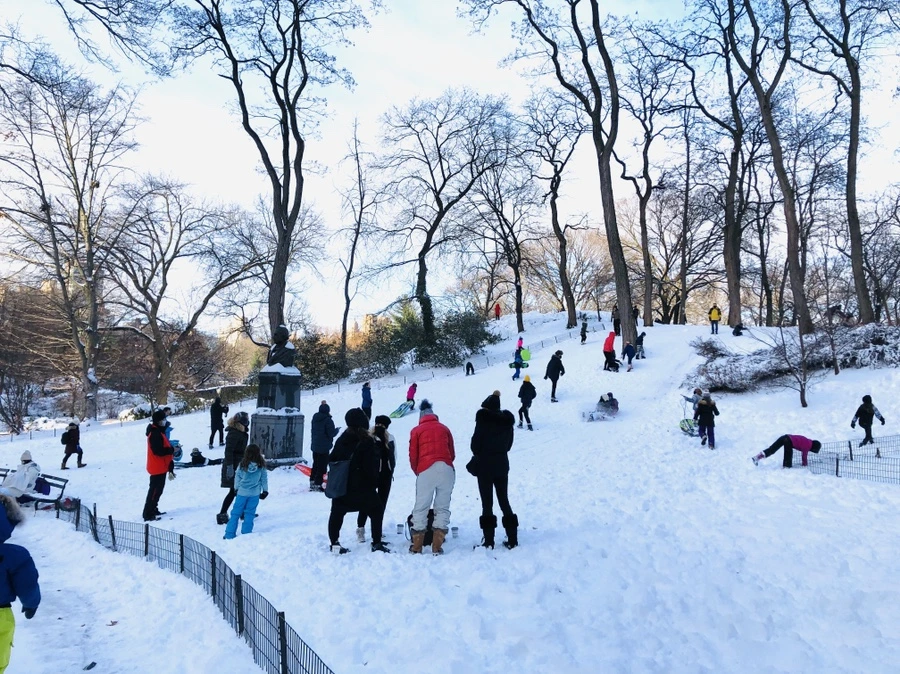 IMG_7202.jpg?type=w966