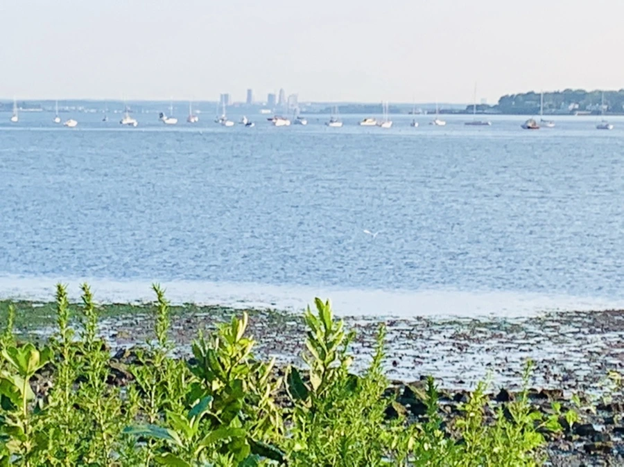 IMG_9844.jpg?type=w966