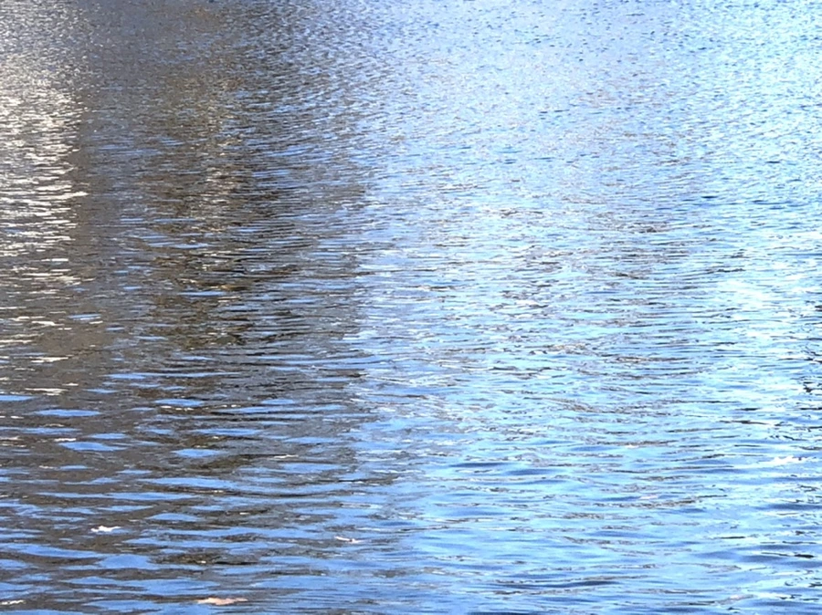 IMG_3789.jpg?type=w966