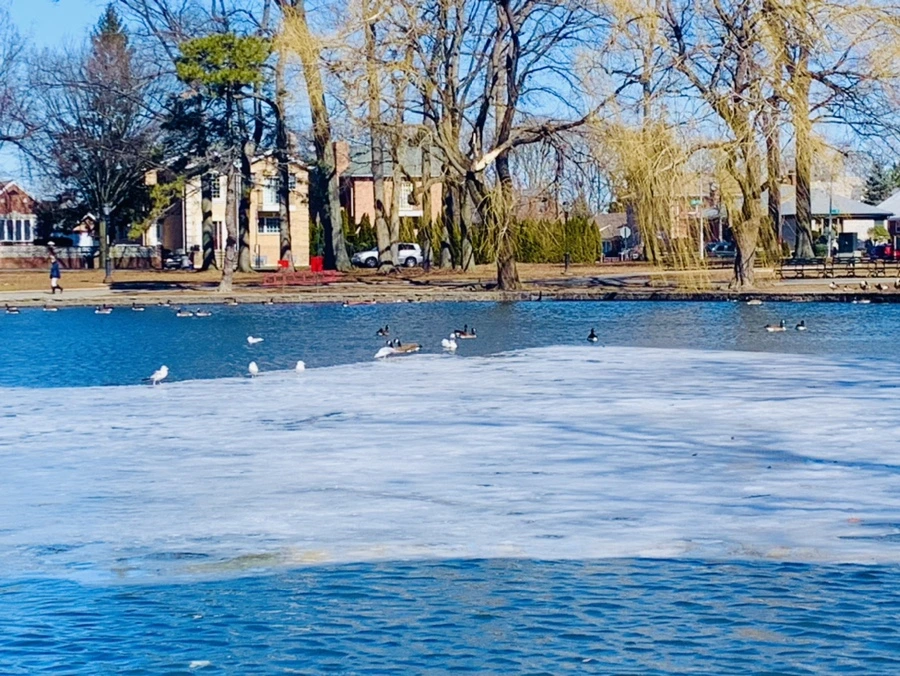 IMG_6803.jpg?type=w966