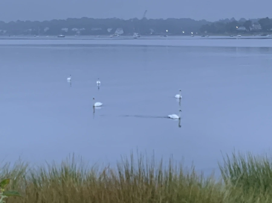 IMG_6609.jpg?type=w966