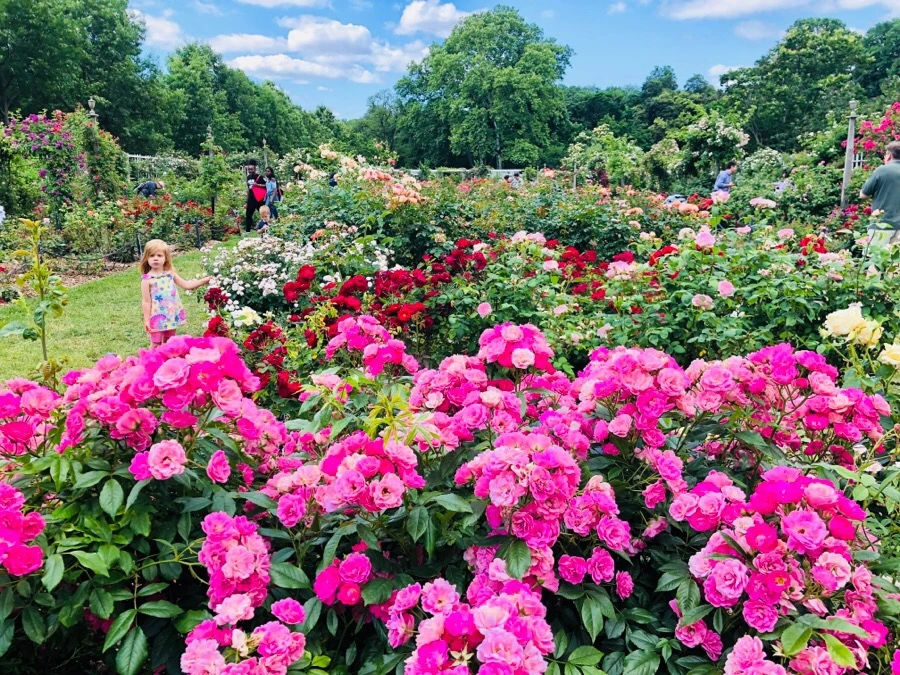 IMG_7881.jpg?type=w966