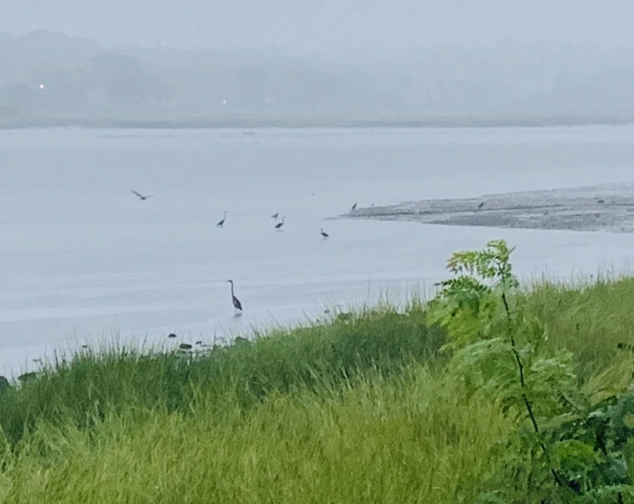 IMG_3872.jpg?type=w966