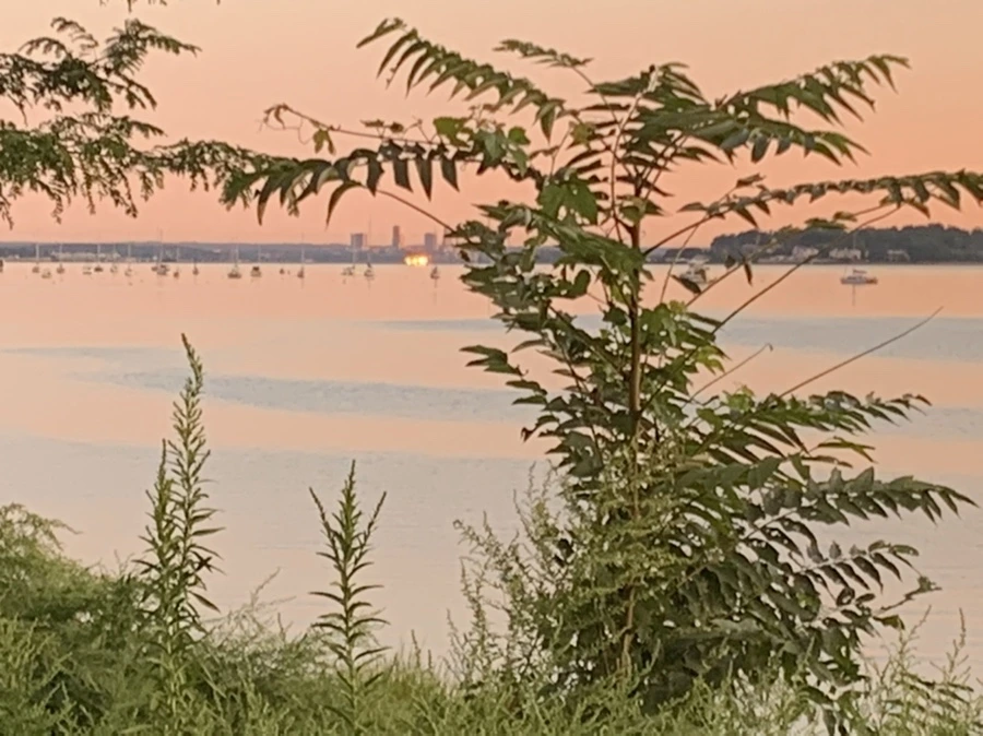 IMG_7510.jpg?type=w966