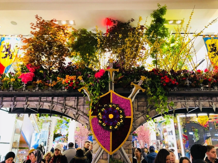 IMG_3694.jpg?type=w966