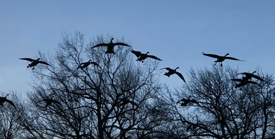 IMG_4963.jpg?type=w966