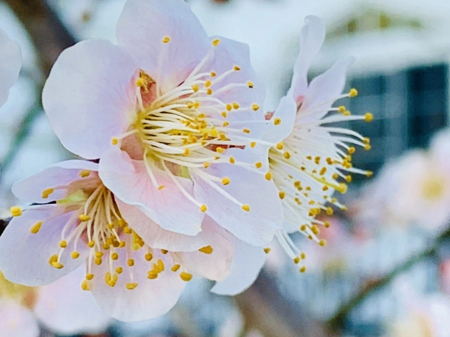 IMG_0878.jpg?type=w966