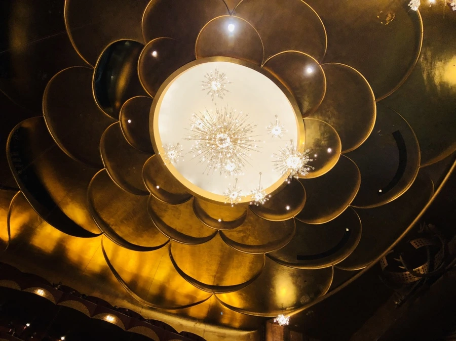 IMG_3527.jpg?type=w966