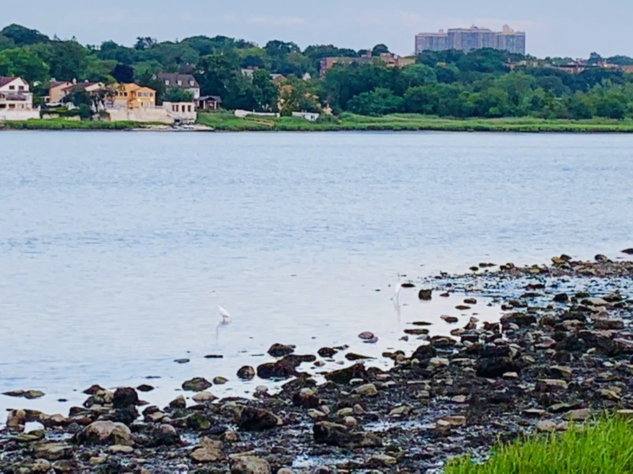 IMG_3014.jpg?type=w966