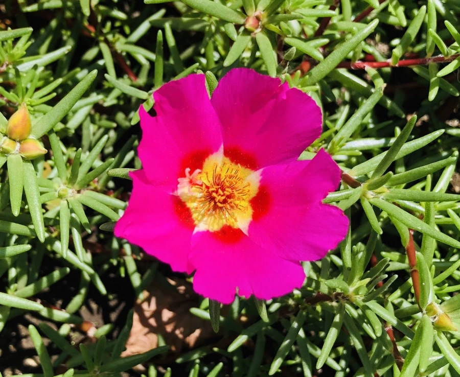 IMG_0927.jpg?type=w966