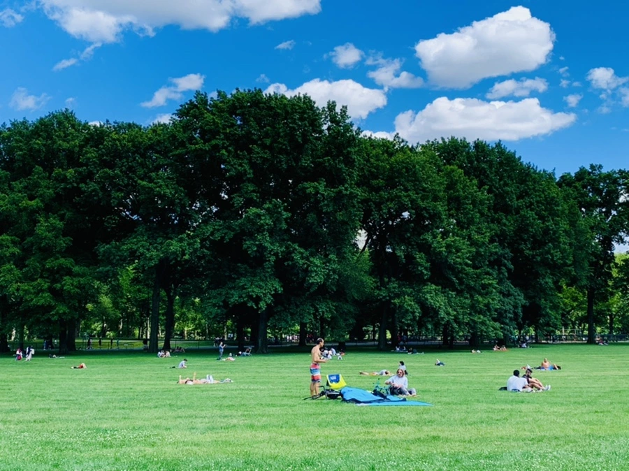 IMG_6352.jpg?type=w966