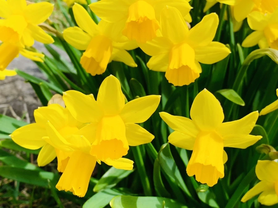 IMG_4039.jpg?type=w966