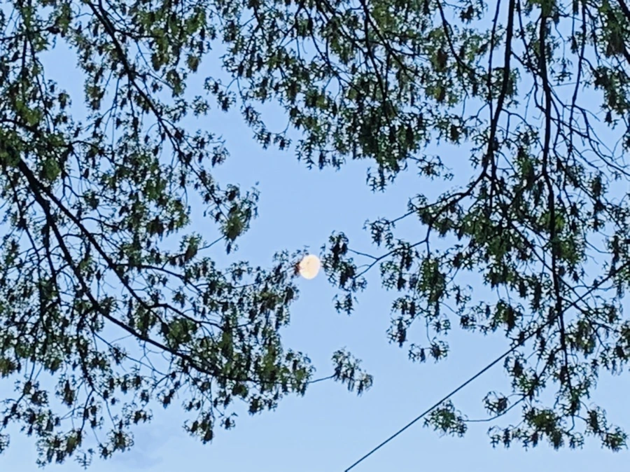 IMG_7495.jpg?type=w966