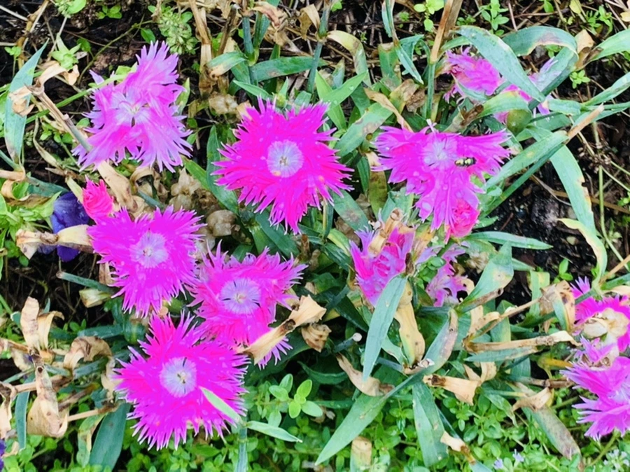 IMG_1027.jpg?type=w966