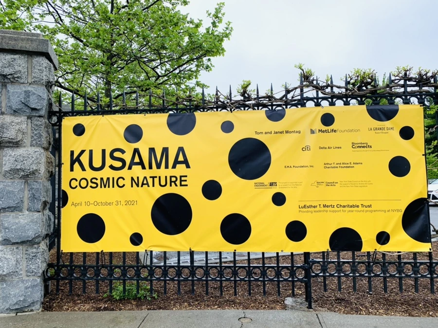 IMG_9752.jpg?type=w966