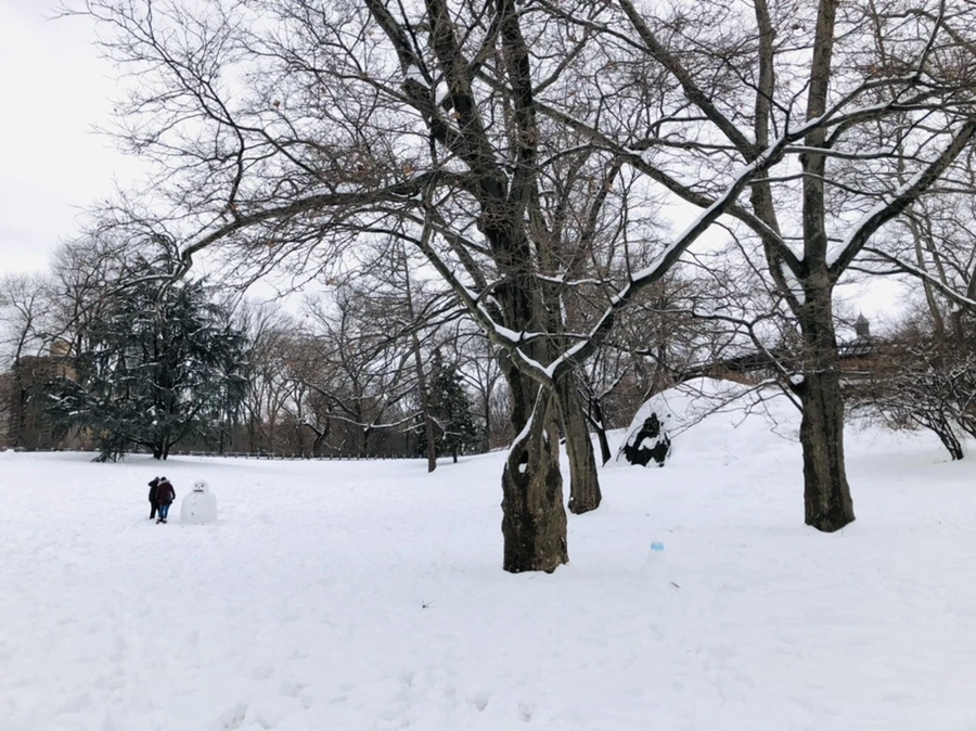 IMG_9586.jpg?type=w966