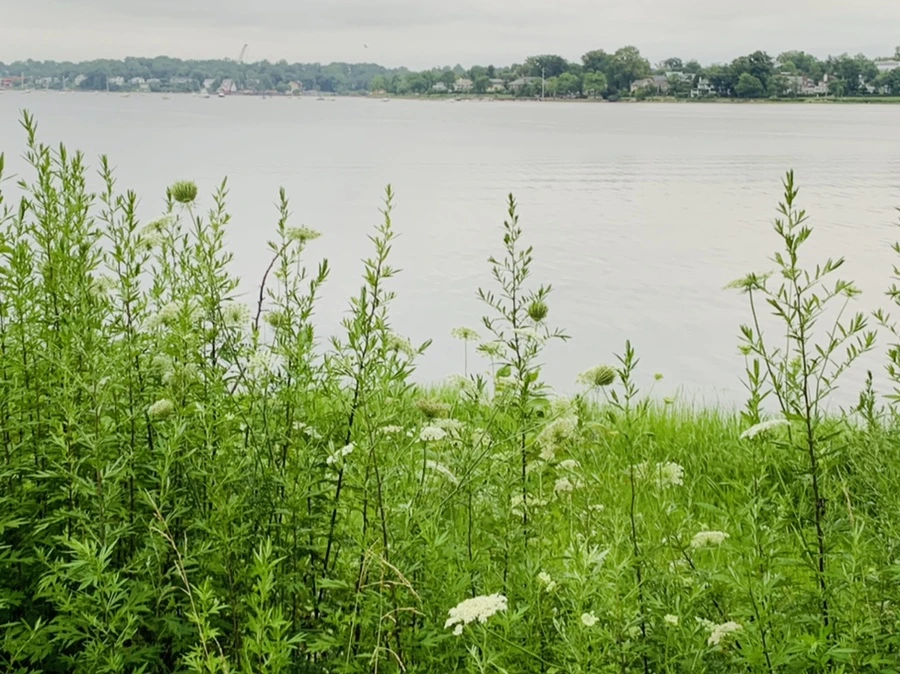 IMG_7105.jpg?type=w966