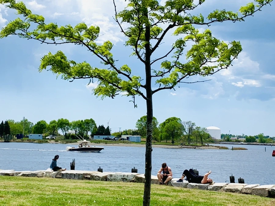 IMG_2925.jpg?type=w966