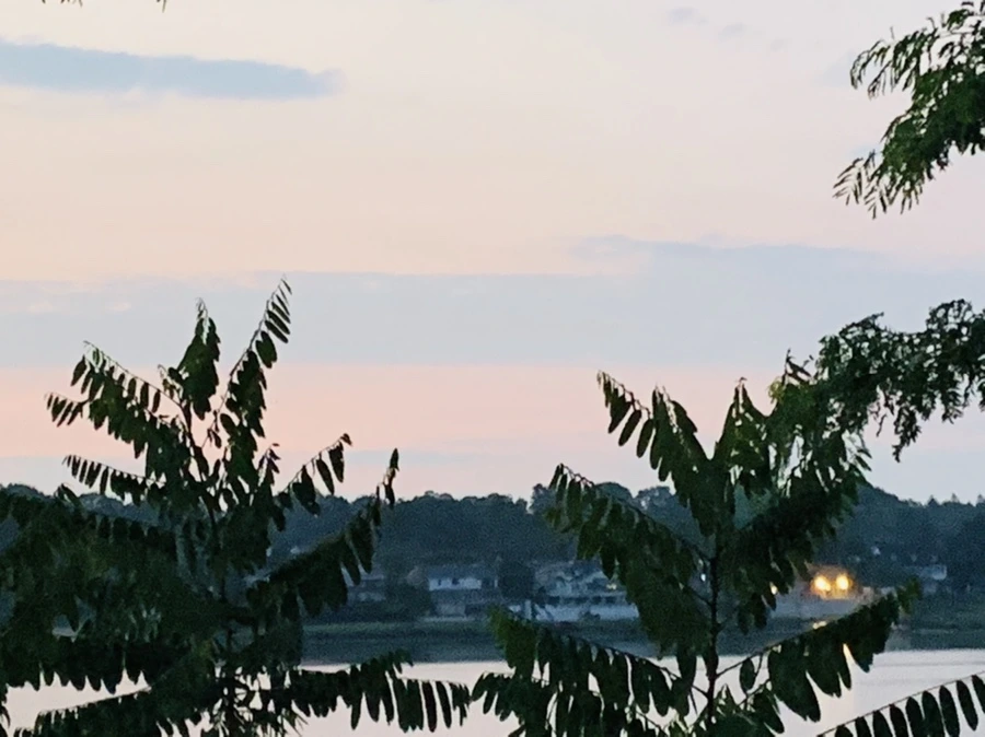 IMG_9505.jpg?type=w966