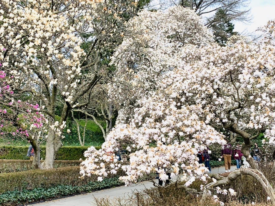 IMG_7172.jpg?type=w966