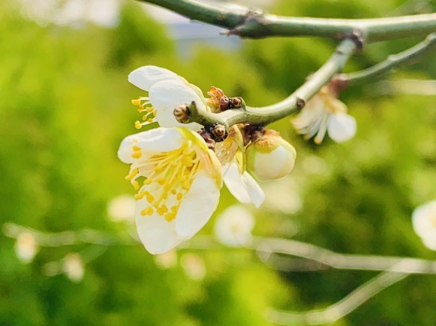 c91BHuidSpxMfp32aGTLgBVf7JM