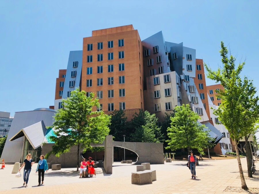 IMG_6893.jpg?type=w966