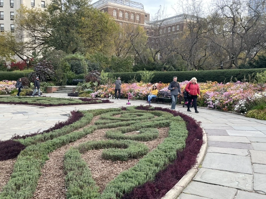 IMG_1237.jpg?type=w966