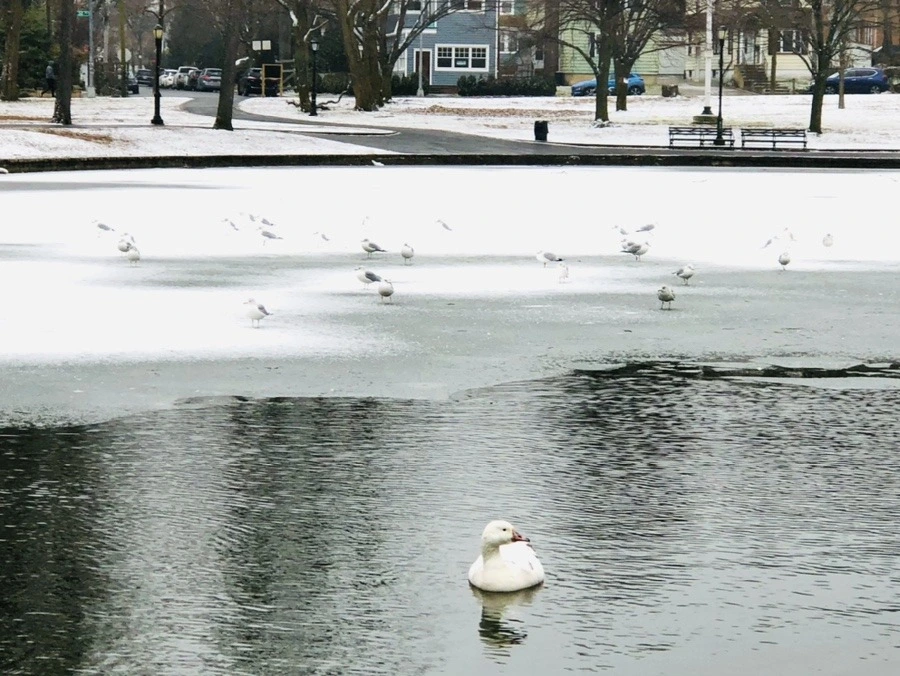 -pY9K_Dz0LUXztCnuNidfuFkoio