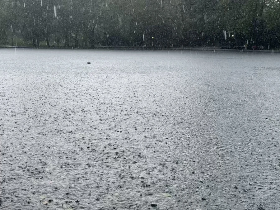 IMG_1732.jpg?type=w966