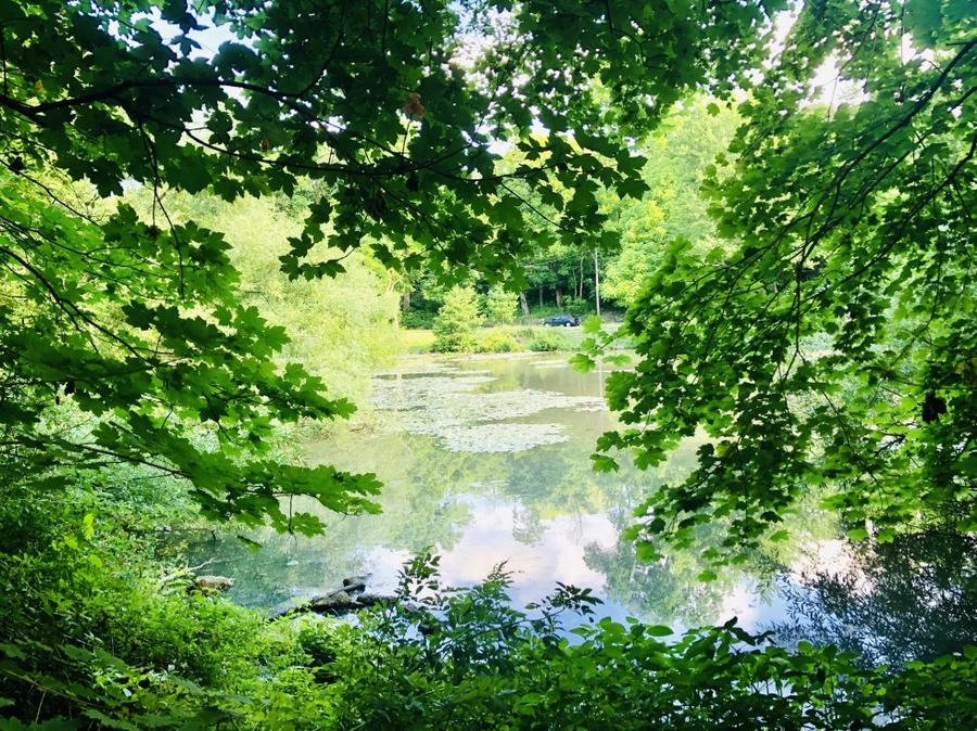 IMG_9861.jpg?type=w966