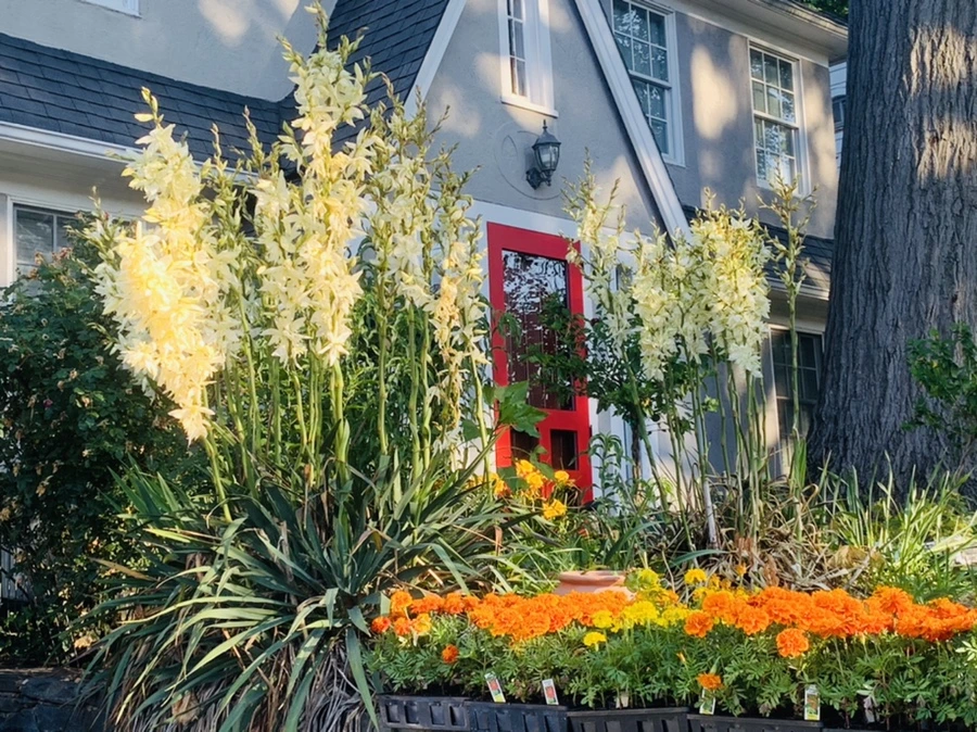 IMG_3982.jpg?type=w966