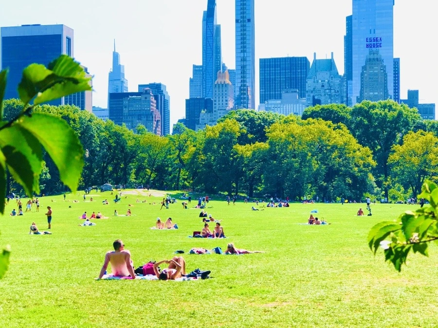 vqfFNERvFAp0sgAGKwGC4RBuZvU