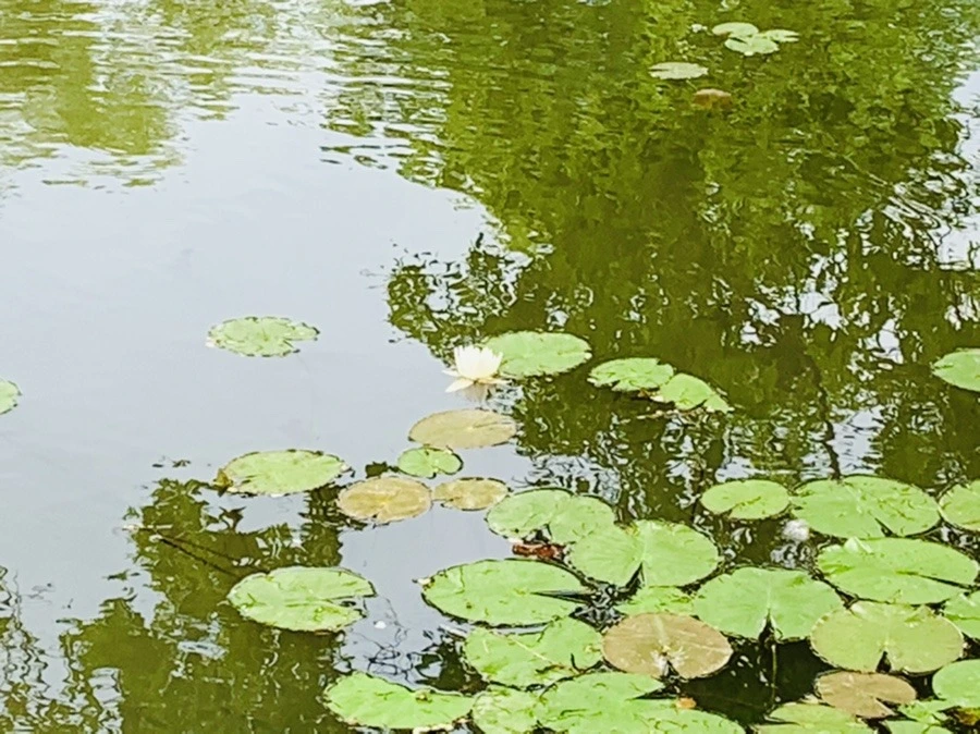 A-nnZDqqPP3Cvn5AeILjaEAq5Io