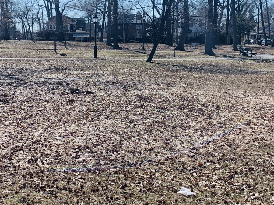 IMG_6629.jpg?type=w966