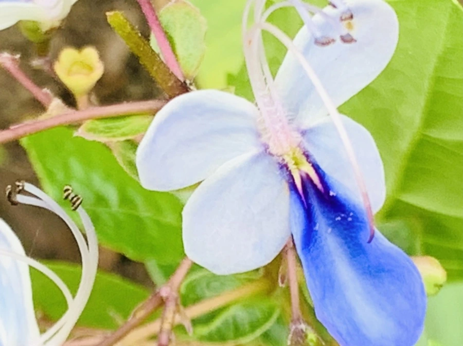 IMG_9438.jpg?type=w966