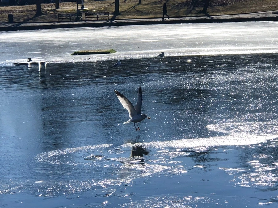 IMG_8050.jpg?type=w966