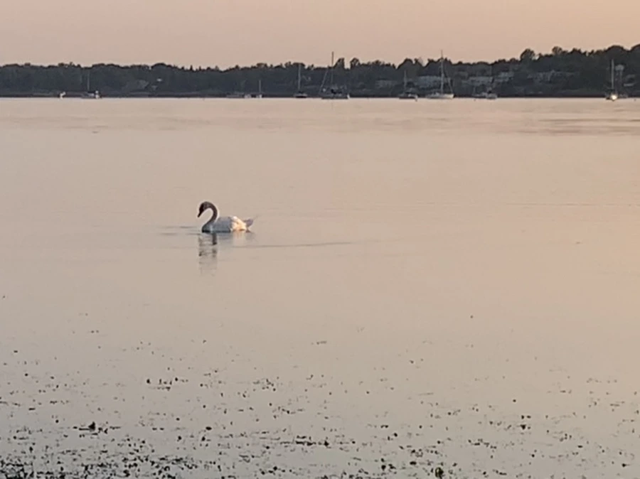 IMG_9626.jpg?type=w966