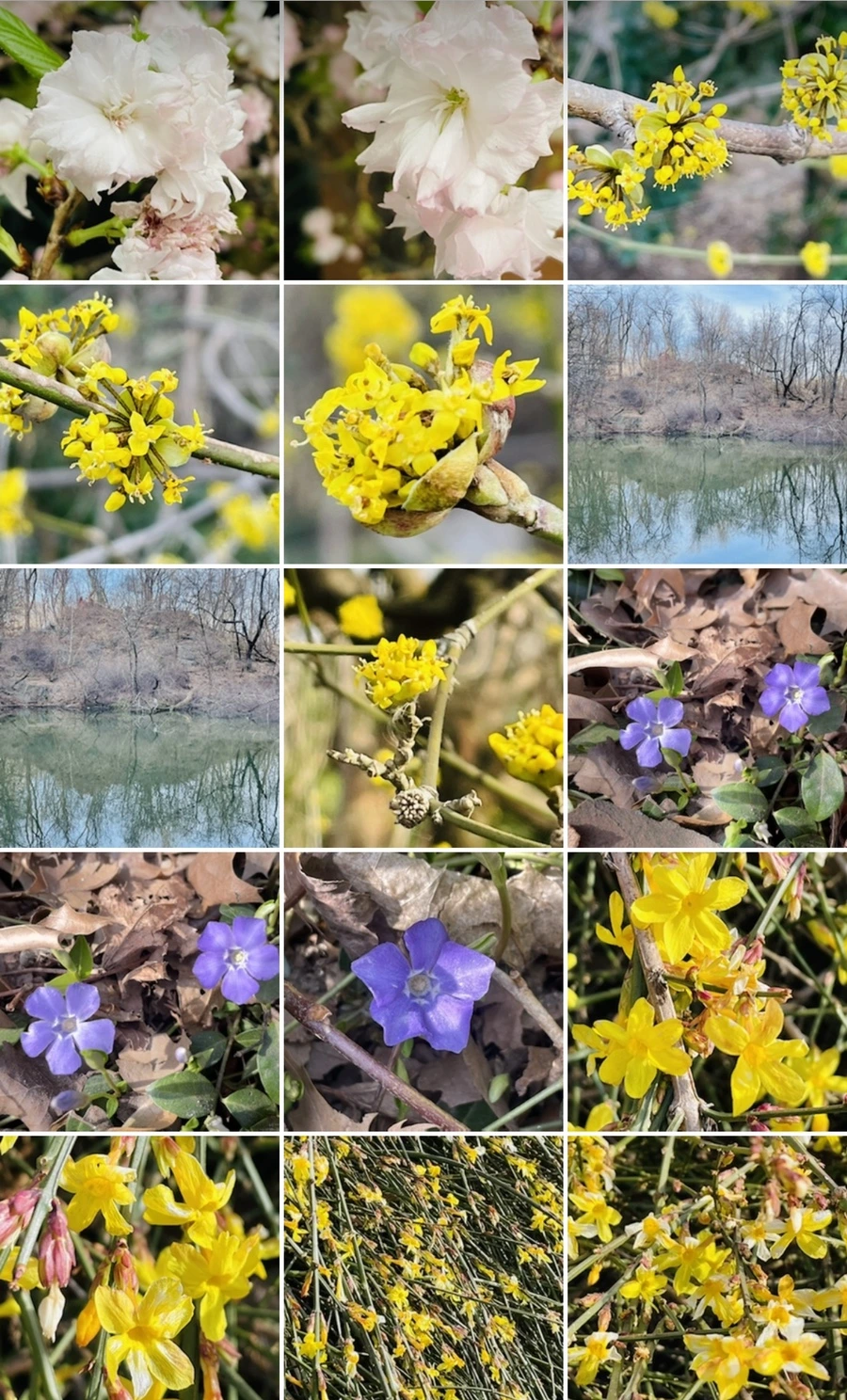 IMG_5420.jpg?type=w966