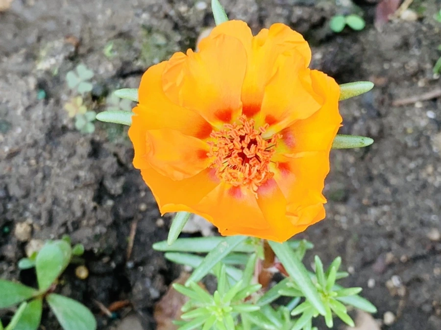 IMG_8414.jpg?type=w966