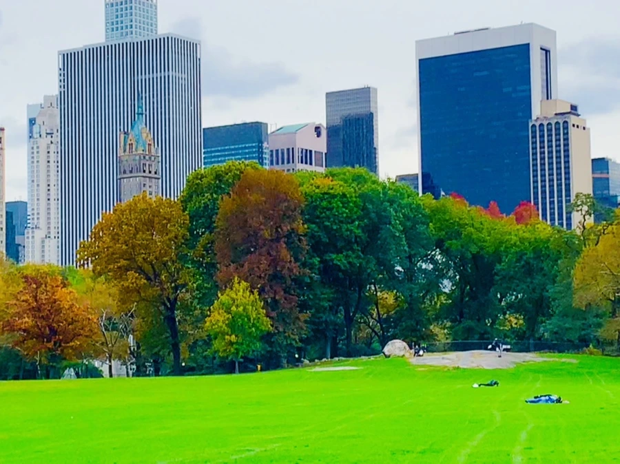 IMG_0233.jpg?type=w966