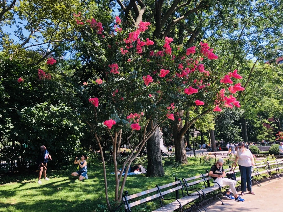 IMG_5427.jpg?type=w966