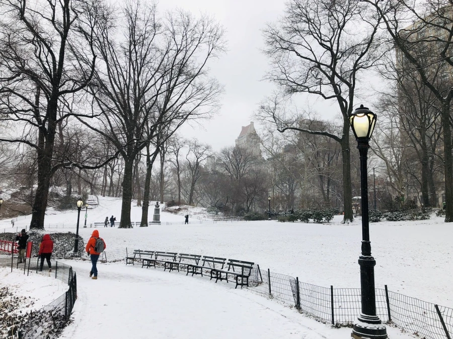 IMG_9534.jpg?type=w966